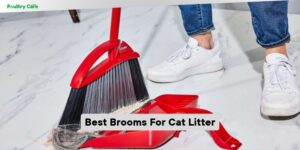 best brooms for cat litter