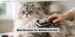 best brushes for matted cat hair