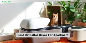 best cat litter boxes for apartment
