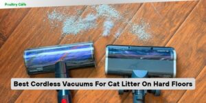 best cordless vacuums for cat litter on hard floors