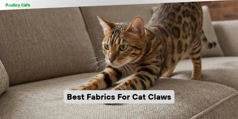 best fabrics for cat claws